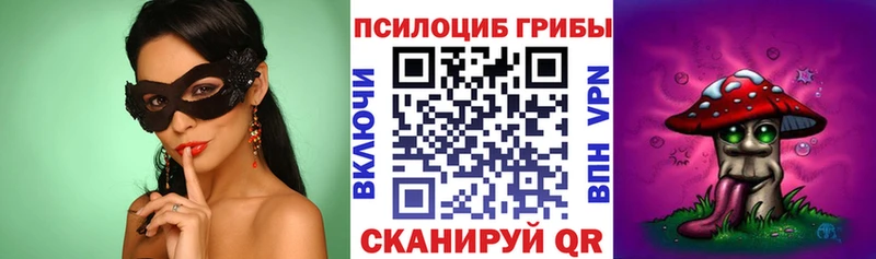 купить наркотик  дарк нет какой сайт  Псилоцибиновые грибы MAGIC MUSHROOMS  Вольск  omg ССЫЛКА 