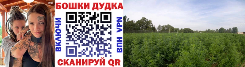 Бошки Шишки Amnesia OMG зеркало Вольск